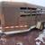 Triggs Livestock Trailer 1 thumbnail