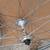 Campagnolo Record Wheelset 700c Moscow Moskva 80 Rims 15 thumbnail