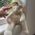 Stuffed Animals - Take your pick 3 thumbnail