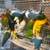 Lovebird. Available in San Mateo 1 thumbnail