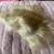 Human Hair Topper 3 thumbnail
