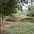 Creative Handyman/Woman / Builder for Home Projects 13 thumbnail