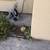 Assorted desert plants with cactus 3 thumbnail