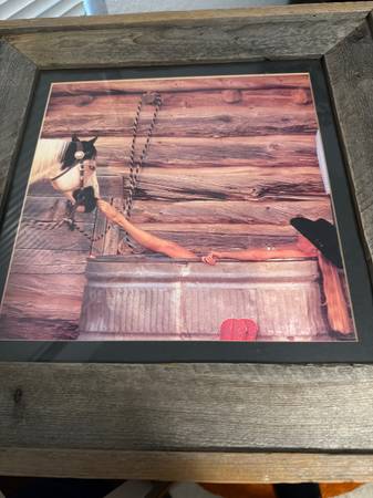 David Stoecklein renowned Western photographer “Nose to Toes” 1