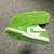 Jordan 1 Low SE Shoes White Chlorophyll Size 11 Brand New 1 thumbnail