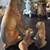 Bulldog mom w/puppy dogs chained figurines - 2 thumbnail