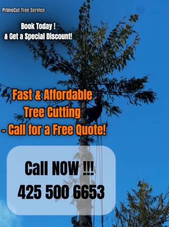 TREE CUTTING & TREE REMOVAL – FREE ESTIMATES 1