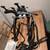 Saris Bones 2-Bike Trunk Rack with Bike Beam LT 3 thumbnail