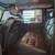 2009 Mercedes-Benz G-Class 4MATIC 4dr 5.5L 11 thumbnail