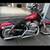 2004 Harley sportster 883 1 thumbnail