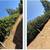 Hedge Trimming, Weeding, Pruning? Call or Text Me! 17 thumbnail