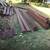 Composite decking 4 thumbnail