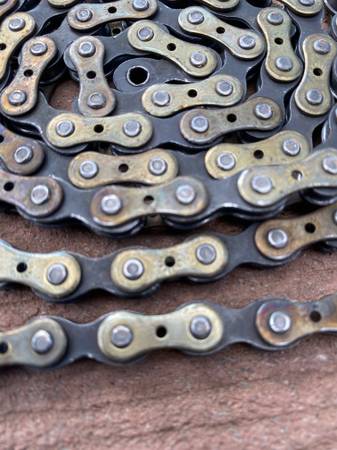 Vintage Regina Extra RECORD Gold Chain 6 Speed + Synchro Freewheel - $30 (Mt. Tabor)63471263157891121