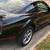 Mustang GT 3 thumbnail