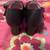 demonia 7 1/2 high heels 3 thumbnail