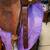 Horse Tack Circle Y Western Show/Trail Saddle 5 thumbnail