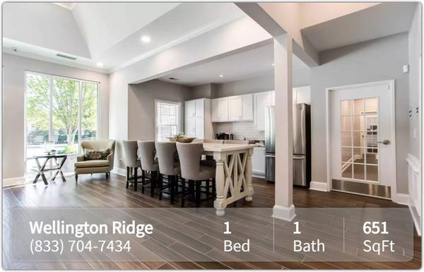 $1,196 / 1br - 651ft2 - A home for everyone - even your pets! Pet friendly 1 bed / 1 bath! (Covington)63963859260675120