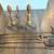Antique Fireplace Tool Set & Andirons w/ Log Holders Brass Acorn 21 thumbnail