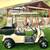 Ezgo TXT Gas Golf Cart 4 thumbnail