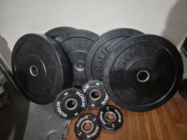 Rogue weights set 💪 1