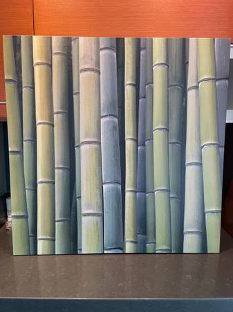 BAMBOO PRINT 1