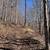 22.4 wooded acres with a cleared building site-Owner Financing Availa 1 thumbnail