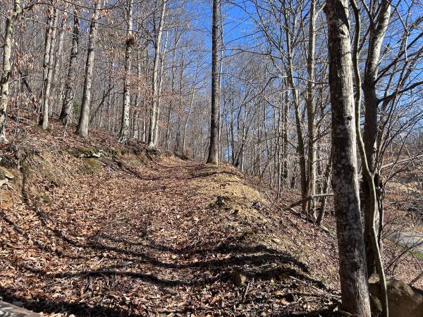 22.4 wooded acres with a cleared building site-Owner Financing Availa 1