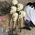 Halloween Decor 4 thumbnail