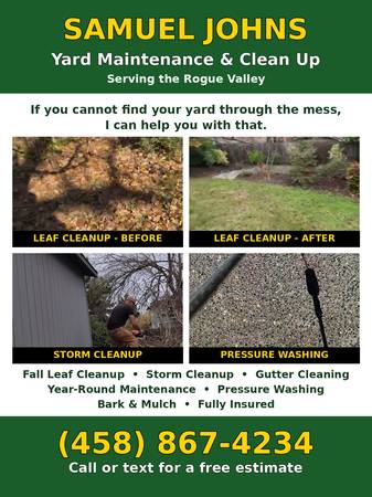 Leaf cleanup/yard maintenance 1