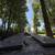 2007 Continental Cargo (Forest River) “Camping” Trailer 10 thumbnail