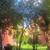 Sundrenched XL 1br / 2br, laundry, elevator, gym, yard, VIDEO 12 thumbnail