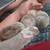 Mini Plush Lops 1 thumbnail
