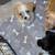 Beautiful Babies 10 thumbnail