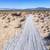 Private Off-Grid Desert Outpost | Restored 1950s Cabin on 5 Acres 12 thumbnail