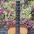 Taylor 716e-ES2 Grand Symphony Acoustic-Electric Guitar Elixir/Case 1 thumbnail