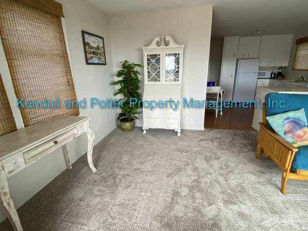 $3,500 / 1br - 500ft2 - Adorable Furnished 1 bed/1 bath in Depot Hill - 30 day minimum (capitola)63682832663171124