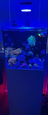 Water Box 1