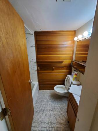 $2,300 / 1br - Mid Cambridge 1 Bed/1 Bath | Trowbridge St (Mid Cambridge)64295205114369122