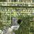 FURNISHED 2 BEDROOM HOME FOR SALE ON .28 ACRE LOT IN ENGLEWOOD! 22 thumbnail