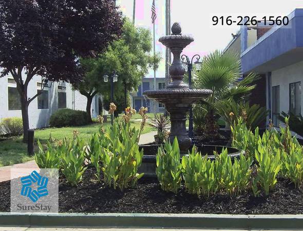 $550 / 1br - FLAT WEEKLY RATE - FURNISHED 1B! Outdoor Pool - Cal Expo Neighborhood (Sacramento)63961337465090120
