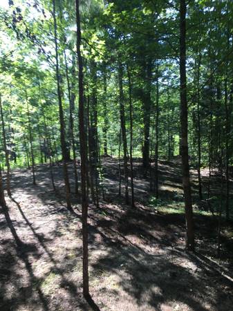 $60,000 5.6 Private Hilltop Rolling Acres with Spring (Enville)63879904112513122