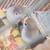 2 Baby purple and grey baby Lovebirds available 2 thumbnail