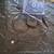 Millenium Falcon speaker 2 thumbnail