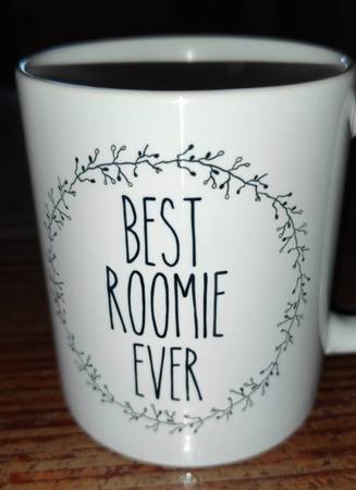$700 / 2br - MALE ROOMMATE IN PILSEN (Pilsen)63898602403715123