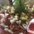 Ramshorn snails 1 thumbnail