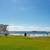 *OPEN HOUSE: 9/26 3-5PM* Spacious 2BR in OB/Point Loma + Parking 12 thumbnail