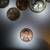 1982 SMALL DATE COPPER DDO DDR 1¢ COIN, ALSO MEMORIAL DOUBLING 9 thumbnail