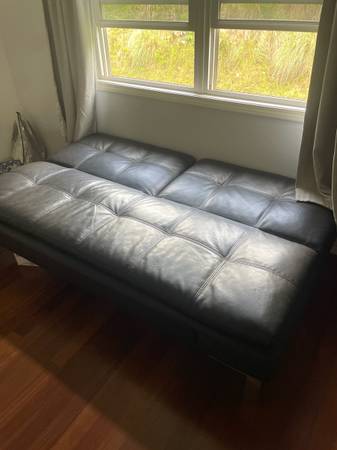 Bed couch 1