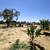 🛑9517 Weedpatch Hwy Lamont, Ca 93241 🛑- FOR SALE 17 thumbnail