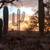 Majestic Saguaro 'Large Saguaro' Metal Cactus Yard Art 3 thumbnail